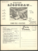 Canada QSL Station Lionceau Montréal Québec XM-52 XM52 (2) - Other & Unclassified