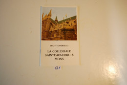 EL1 Livret La Collègiale Sainte Waudru à Mons Tondreau - Geschichte