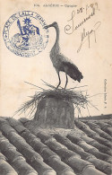 Algérie - Cigogne - Ed. Collection Idéale P.S. 104 - Sonstige & Ohne Zuordnung