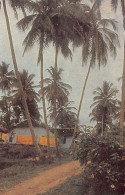 Sri Lanka - Country Landscape In The Vicinity Of Kandy - Publ. CX (Moscow, Year 1967)  - Sri Lanka (Ceylon)