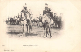 Algérie - Fauconniers - Ed. J. Geiser 178 - Other & Unclassified