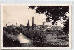 ESTAVAYER LE LAC (FR) Panorama - Ed. S.G. 3204 - Fribourg