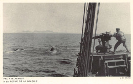 GRØNLAND Greenland - Whale Fishing - Publ. Administration Du Groenland - Egmont H. Petersen  - Groenlandia