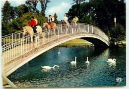 BAGNOLS  Le Petit Pont Et Les Cygnes  TT 1417 - Bagnoles De L'Orne