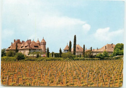 THONON Le Chateau De Ripaille   TT 1401 - Thonon-les-Bains