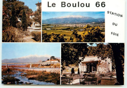 LE BOULOU Station Du Foie  TT 1474 - Altri & Non Classificati