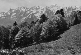 31 Bagnères-de-Luchon  Le Plateau De Superbagnières (Scan R/V) N°   23   \TT1499Bis - Luchon