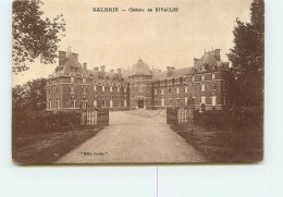 SALBRIS  Chateau De Rivaulde  TT 1481 - Salbris