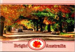 11-5-2024 (4 Z 41) Australia - VIC - Bright (tree) (posted With Classic Cars Stamp) - Bäume