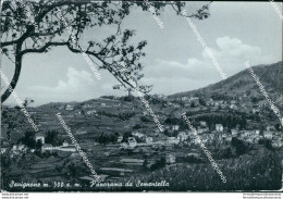 Br524 Cartolina Savignone Panorama Da Sementella Provincia Di Genova Liguria - Genova (Genua)