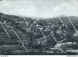 Br568 Cartolina Busalla Le Cascine Provincia Di Genova Liguria - Genova