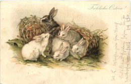 Ostern - Hasen - Ostern