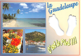 971-LA GUADELOUPE-N°T2546-E/0185 - Other & Unclassified