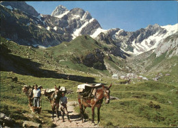 11456619 Appenzell IR Megisalp Mit Trageseln Appenzell - Autres & Non Classés