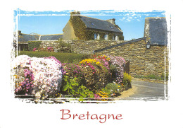 29-BRETAGNE PAYSAGE-N°T2552-A/0171 - Other & Unclassified