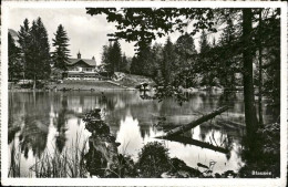 11451482 Kandergrund Partie Am Blausee Bergsee Kandergrund - Autres & Non Classés