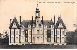 BRETEAU Par Ouzouer Sur Trézée - Château Du Muguet - Très Bon état - Other & Unclassified