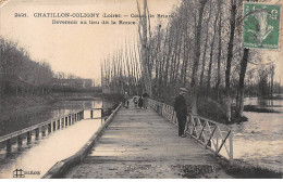 CHATILLON COLIGNY - Canal De Briare - Déversoir Au Lieu Dit La Ronce - état - Chatillon Coligny