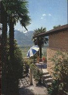 11431995 Gudo Pension Brack Mit Alpenblick Gudo - Andere & Zonder Classificatie