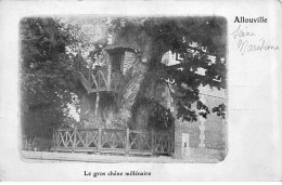 ALLOUVILLE - Le Gros Chêne Millénaire - état - Allouville-Bellefosse