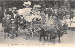 LE HAVRE - Voitures De Chèvres Dans Le Jardin De L'Hôtel De Ville - Très Bon état - Ohne Zuordnung