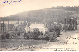 Château De MENESSAIRE - Très Bon état - Autres & Non Classés