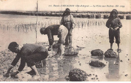 Bassin D'ARCACHON - La Pêche Aux Huîtres - Très Bon état - Autres & Non Classés