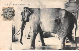 TOURS - Musée De Tours - L'Eléphant Fritz - état - Tours