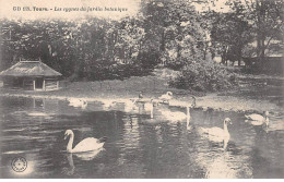 TOURS - Les Cygnes Du Jardin Botanique - Très Bon état - Tours