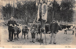 Bergers Landais - état - Autres & Non Classés