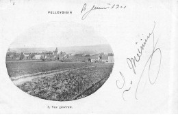 PELLEVOISIN - Vue Générale - état - Other & Unclassified