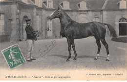 LE HARAS DU PIN -" Fourire " étalon De Pur Sang Anglais - Très Bon état - Andere & Zonder Classificatie