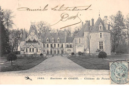 Environs De COSNE - Château Du PEZEAU - Très Bon état - Other & Unclassified