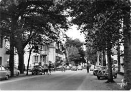 CARNAC - Avenue Des Druides - Très Bon état - Carnac