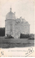 PALINGES - Château De DIGOINE - Très Bon état - Other & Unclassified