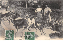 CAUTERETS - Les Chèvres - Très Bon état - Cauterets