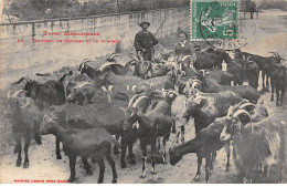 Types Méridionaux - Troupeau De Chèvres Et Le Chevrier - Très Bon état - Sonstige & Ohne Zuordnung