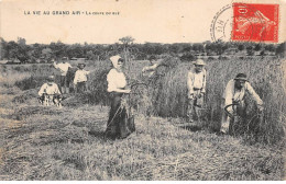 LA VIE AU GRAND AIR - La Coupe Du Blé - Très Bon état - Otros & Sin Clasificación