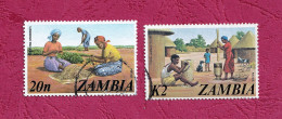 Zambia,- Traditions. Harvesting Groundnuts & Typical Zambian Village. Lot Of Two Stamps. UsedNH - Zambia (1965-...)