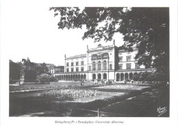 Königsberg - Paradeplatz Universität Albertina - Ostpreussen