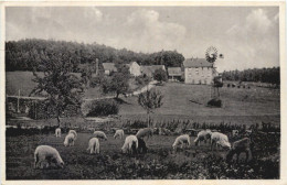 Bremhof Im Odenwald - Gasthaus Joh. Stier - Vielbrunn - Autres & Non Classés