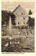 Gras-Ellenbach - Hotel Siegfriedbrunnen - Autres & Non Classés