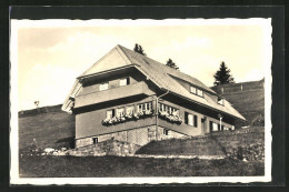 AK Altglashütten Am Feldberg, Hotel Haus Vogel  - Feldberg