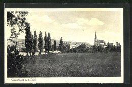 AK Hammelburg An Der Saale, Feldpartie Mit Blick Zum Ort  - Hammelburg