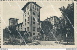 Bo412 Cartolina Montelupo Fiorentino L'antica Villa Granducale Dell'ambrogiana - Firenze