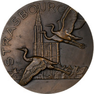 France, Médaille, Libération De Strasbourg, 1944, Bronze, Delamarre, SUP+ - Autres & Non Classés