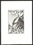 Exlibris Bergsteiger Im Hochgebirge  - Bookplates