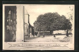 CPA Curdin, Vue Generale, Le Celebre Marronnier  - Sonstige & Ohne Zuordnung