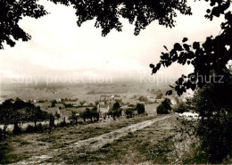 73830941 Nettelstedt Panorama Nettelstedt - Lübbecke