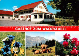 73796793 Memhoelz Kempten Allgaeu Gasthof Zum Waldhaeusle  Memhoelz Kempten Allg - Other & Unclassified